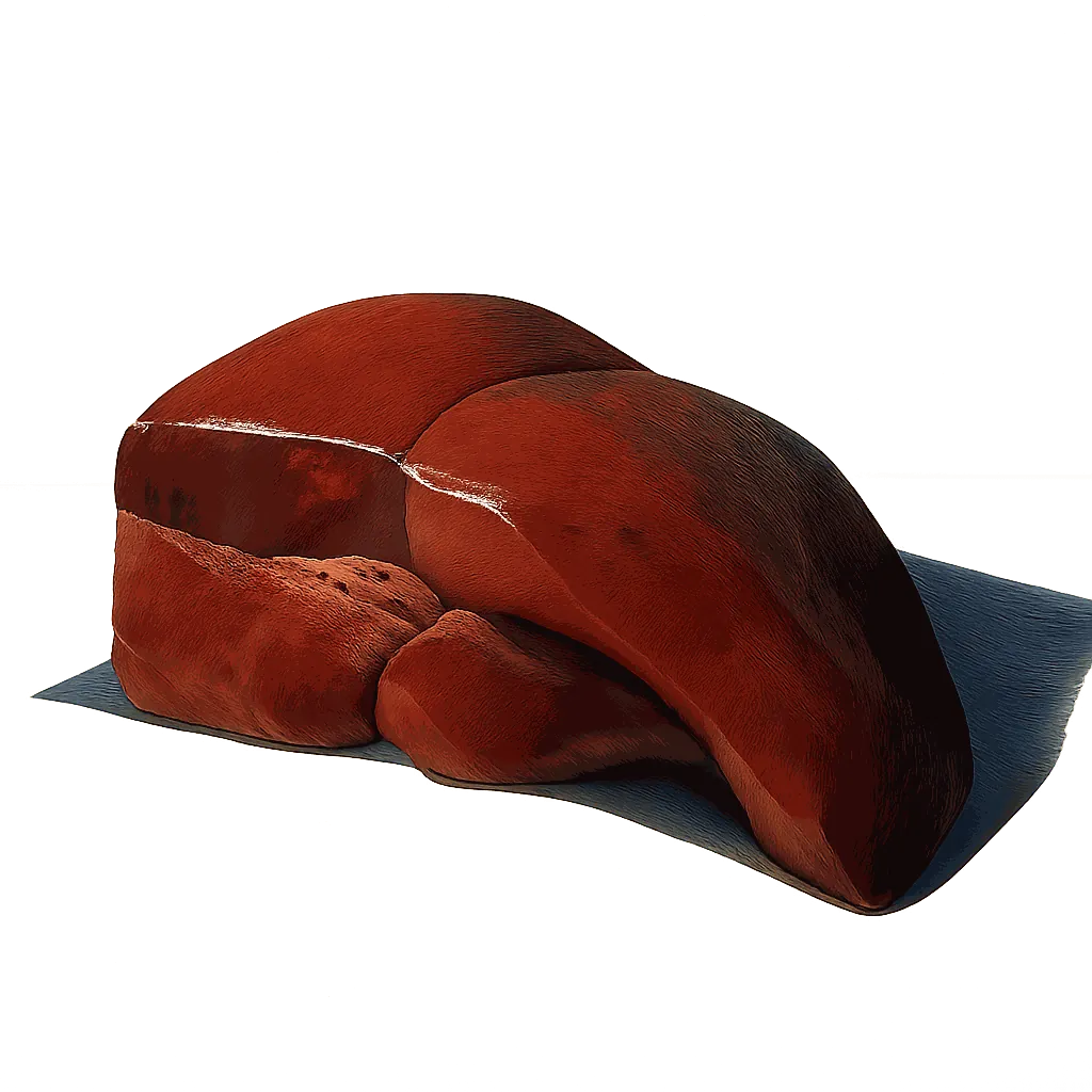 Duck liver